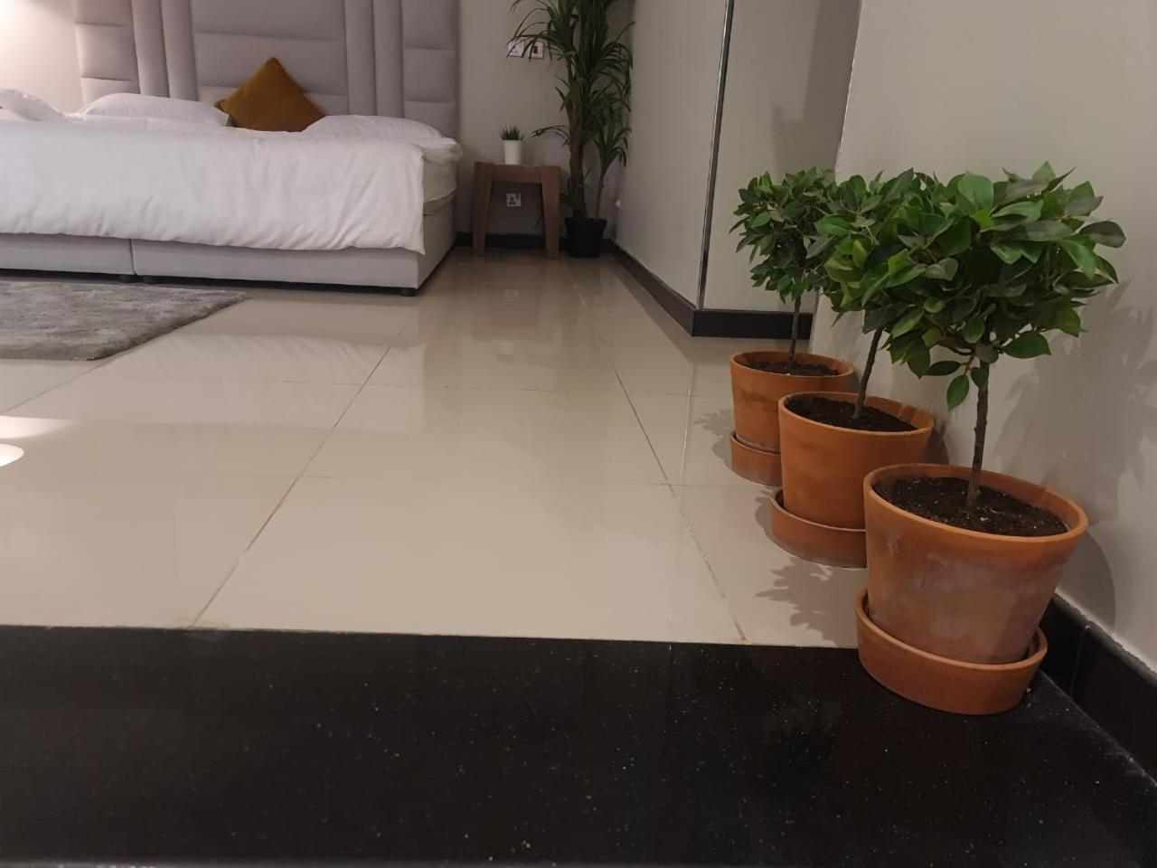 ホテル شاليه قطر الندى - الطائف エクステリア 写真